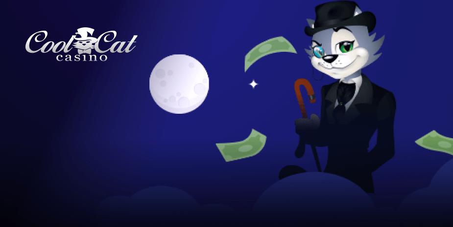 Cool Cat Casino Banner